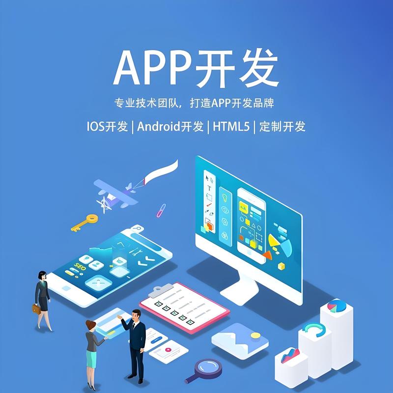 系统定制开发